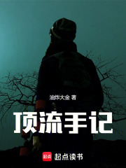顶流手记